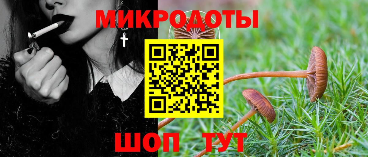 Тимашёвск  Галлюциногенные грибы прущие грибы  Вход с VPN 